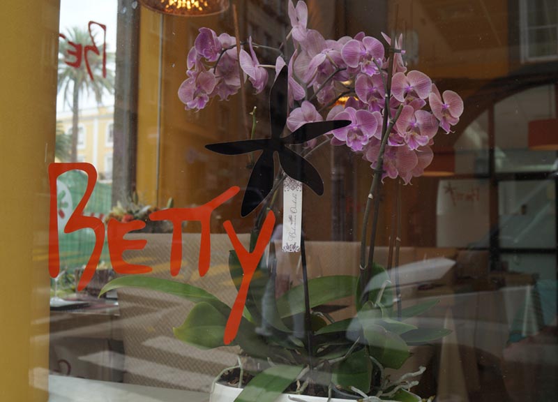 Orquídeas en la ventana del salón